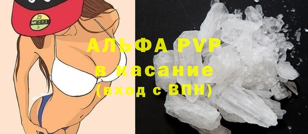 гидра Белокуриха