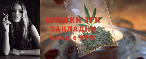 гидра Белокуриха
