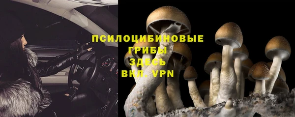мдпв Беломорск