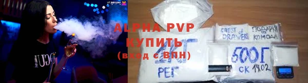 гидра Белокуриха
