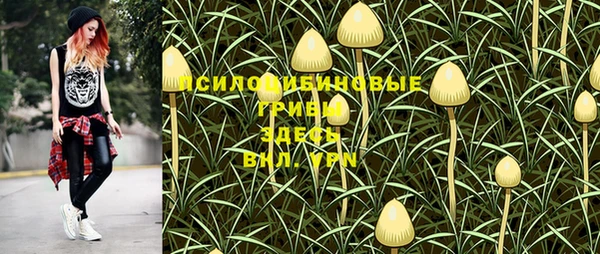 мдпв Беломорск