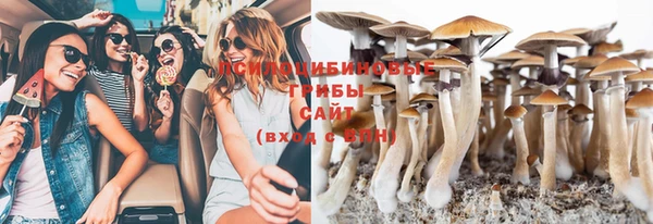 мдпв Беломорск