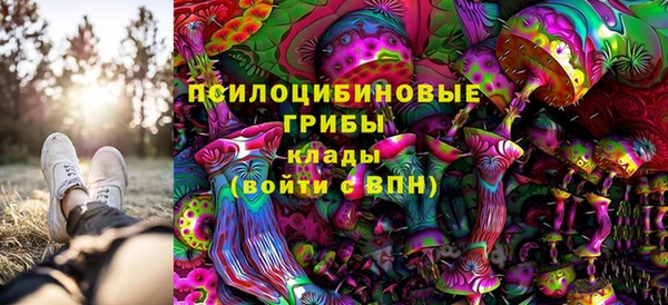 гидра Белокуриха