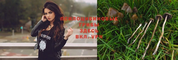 гидра Белокуриха